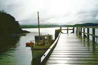 click-here for Mareno Charters website