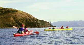 Sea Kayak Tryphena Harbour, Great Barrier Island